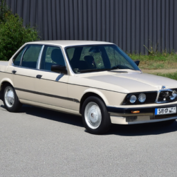 download BMW 528i E12 5 OEM workshop manual