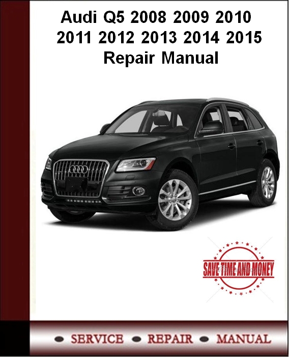 download AUDI Q5 workshop manual