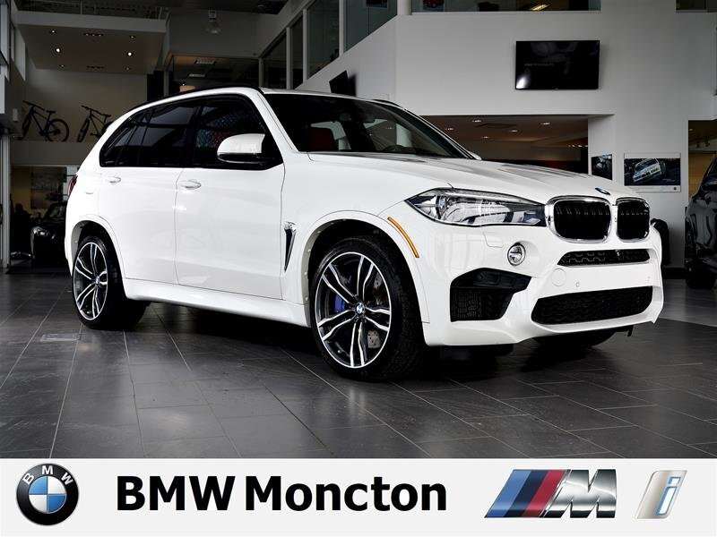 download BMW X5 workshop manual