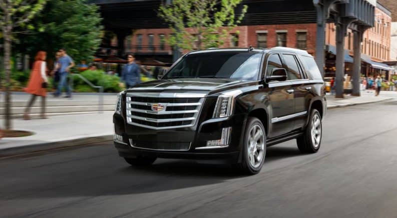 download ESCALADE workshop manual