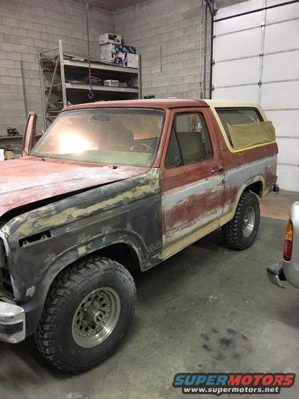 download Ford Bronco able workshop manual