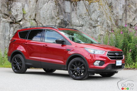 download Ford Escape able workshop manual