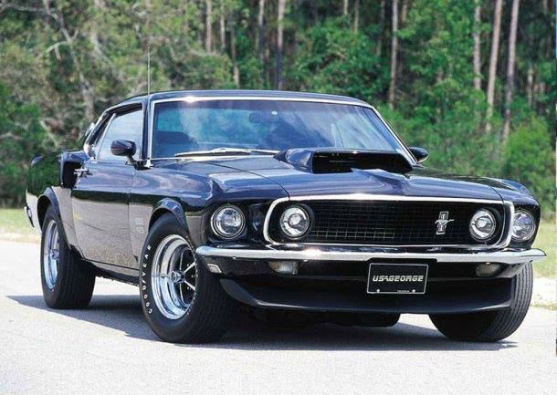 download Ford Mustang Shelby GT500 workshop manual