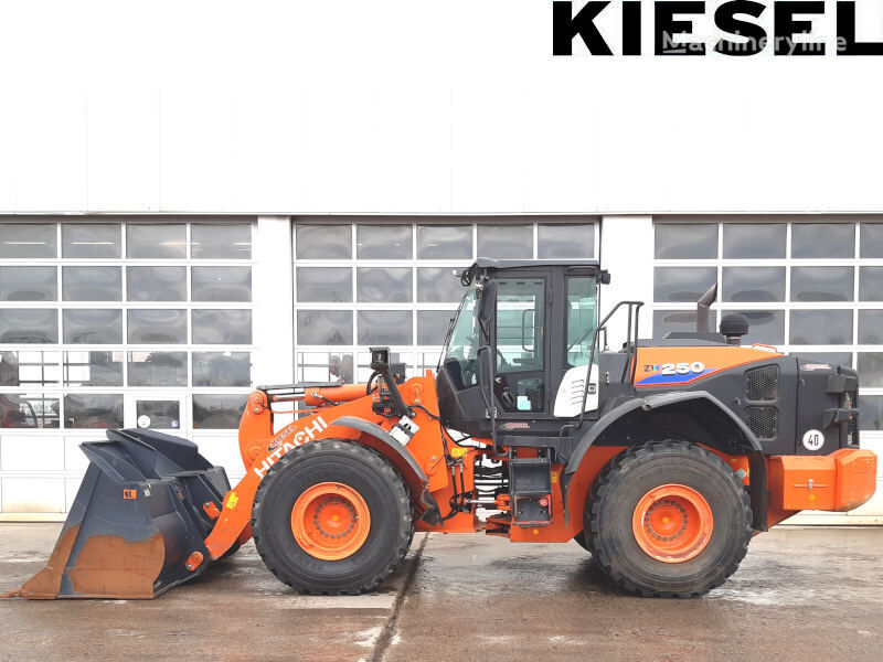 download HITACHI ZW250 Wheel Loader EQUIPMENT able workshop manual