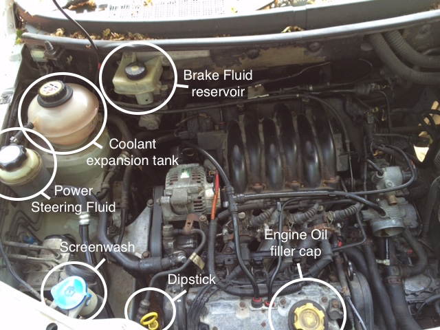 download Land Rover FREELandER TD4 Engine able workshop manual