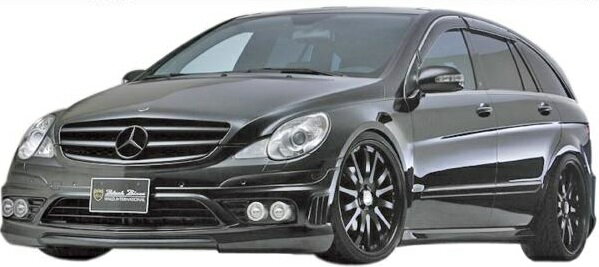 download MERCEDES BENZ R Class R350 R500 workshop manual