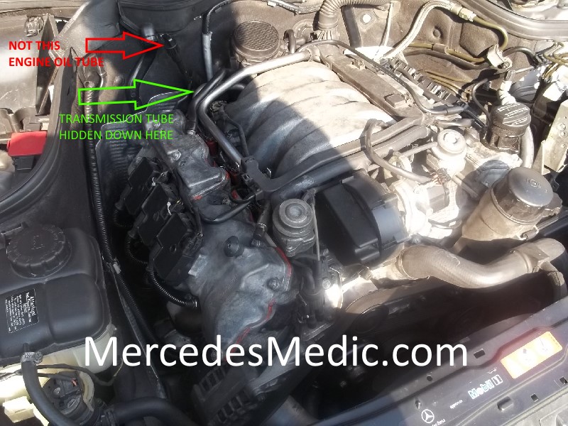 download MERCEDES C Class W203 workshop manual