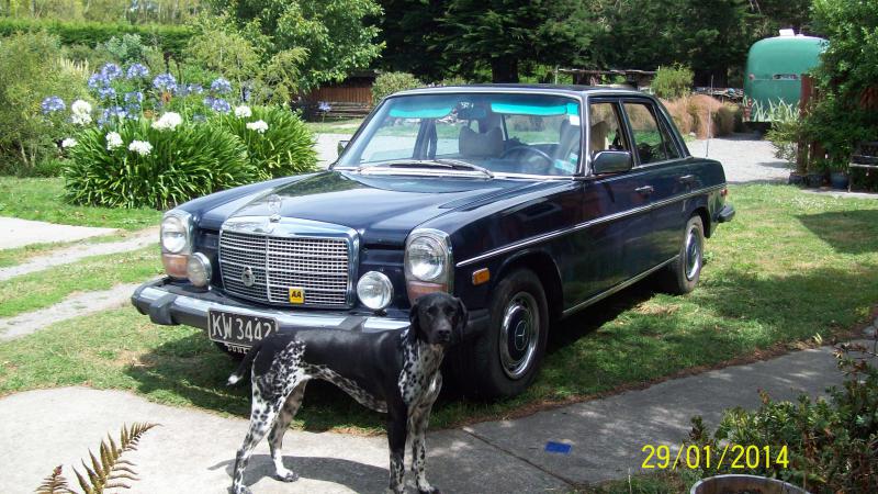 download MERCEDES W114 W115 able workshop manual