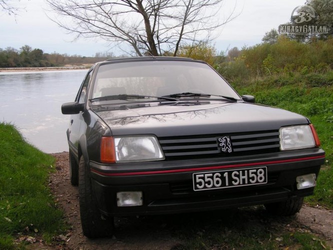 download PEUGEOT 205 GL GE VAN SR GT 1.6 GTI 1.9 GTI able workshop manual