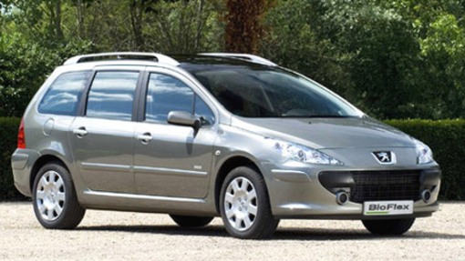 download PEUGEOT 307 able workshop manual