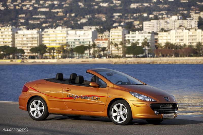 download PEUGEOT 307CC able workshop manual