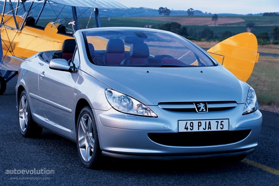 download PEUGEOT 307CC able workshop manual