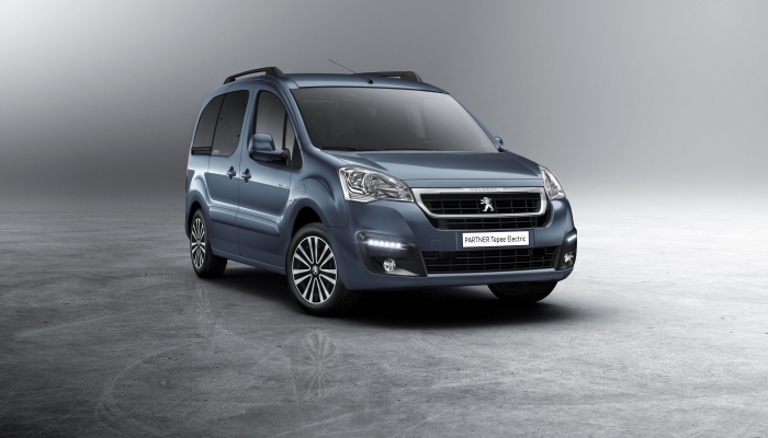 download PEUGEOT PARTNER workshop manual