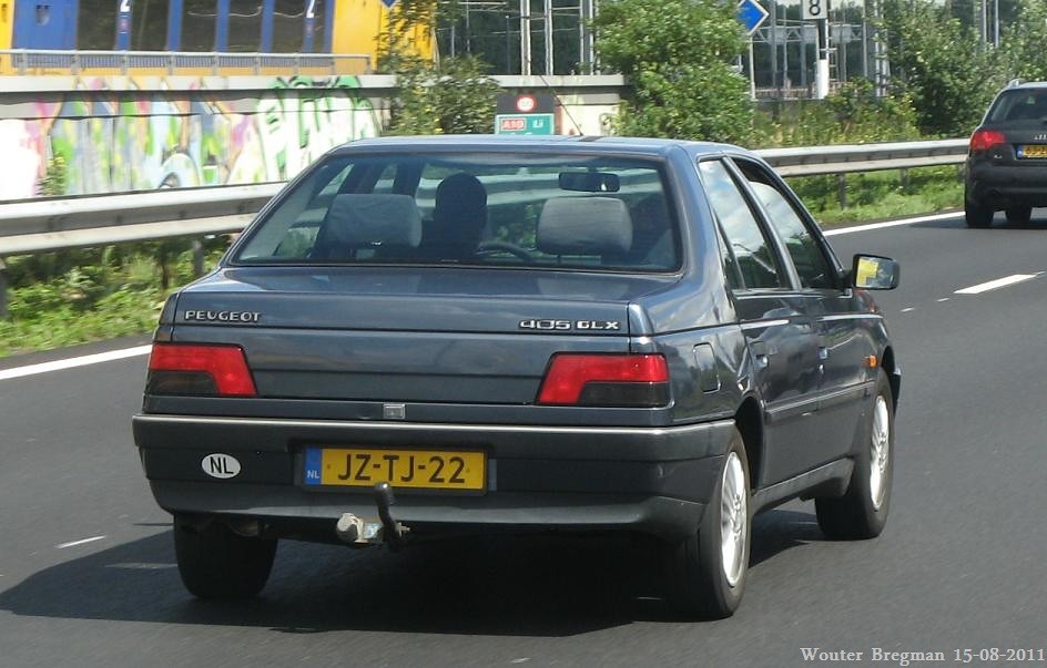 download Peugeot 405 workshop manual