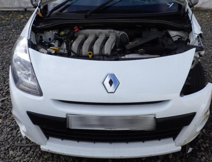 download RENAULT CLIO MEGANE workshop manual